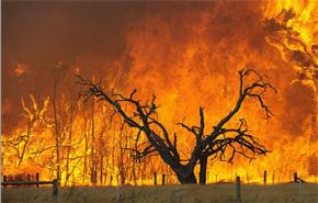 حرائق واسعة تجتاح غابات سويسرا