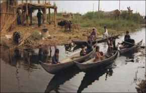 عرض فيلم إيراني في مهرجان اثيوبيا الدولي 