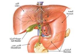 منظمة الصحة العالمية: ثلث العالم مصاب بالتهاب الكبد