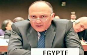 مصر : من حق الدول استخدام الطاقة النووية السلمية