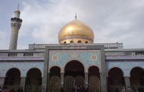 في ذکرى ميلاد عقيلة الهاشميين زينب (ع)