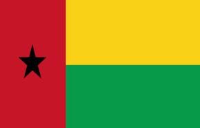 قادة انقلاب غينيا بيساو يفرجون عن الرئيس المؤقت ورئيس الوزراء السابق
