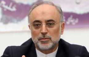 وزير الخارجية الايراني يستقبل مدرسي اللغة الفارسية بالجامعات المصرية