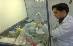 مركز العلوم والتكنولوجيا لدول عدم انحياز يشيد بايران