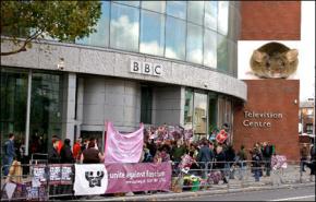 الفئران تجتاح مطعم هيئة إذاعة بي بي سي