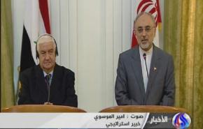 خبير استراتيجي : زيارة المعلم الى طهران مهمة جدا 