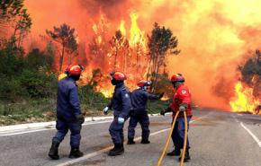 نشر اكثر من الف اطفائي لاخماد حرائق غابات في البرتغال