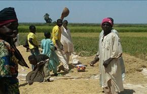 قتيلان و1500 نازح في نزاع على أراض في نيجيريا