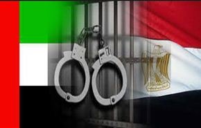 مصر لم ولن تتدخل في شؤون الدول العربية الداخلية