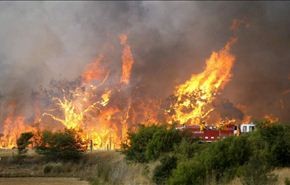 حرائق غابات تجتاح جزيرة تسمانيا باستراليا