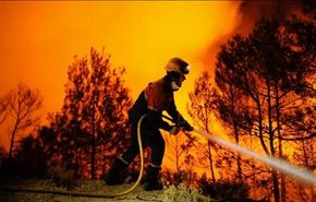 مزيد من حرائق الغابات بسبب موجة الحر في استراليا