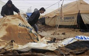 مقتل 7 لاجئين سوريين من أسرة واحدة في الاردن