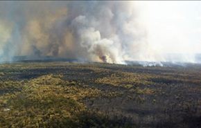 تصاویر نابودی هزاران هکتار جنگل استرالیا در آتش