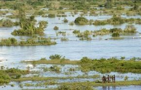 مقتل 20شخصا بفيضانات في موزامبيق وجنوب افريقيا