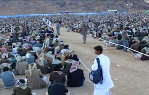 اليمن..رفض الاساءة للمقدسات بذكرى المولد النبوي