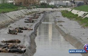 سوريا: عشرات الضحايا بمجزرة ارتكبها مسلحون بحلب