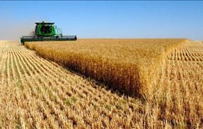 ايران تصدر محاصيل زراعية بقيمة تفوق 3 مليارات دولار