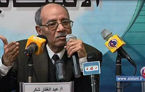 مصر: ردود فعل مختلفة على حكم وقف الانتخابات