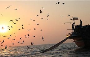 إيران تقيم مهرجان الخليج الفارسي الدولي في 20 بلدا