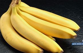 اوغندا تحاول التوصل الى الموز الذهبي