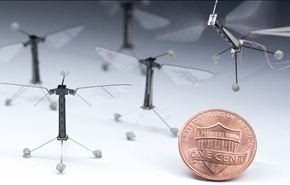 ابتكار روبوت صغير على شكل حشرة طائرة