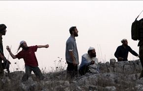 مستوطنون يعتدون على ممتلكات فلسطينية في نابلس