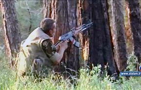 الجيش السوري يسيطر على معظم مدينة القصير