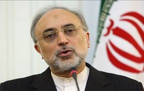 صالحي: توفير الامن في الخليج الفارسي امر واقعي