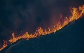 آتش سوزی در جنگل های کالیفورنیا