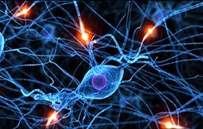 دراسة ايرانية تكشف عن إستخدام النانو بعلوم الأعصاب