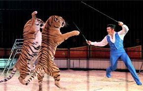 استفاده از حیوانات در سیرک ممنوع شد
