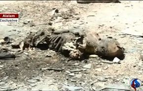 بالفيديو..النصرة تحرق جثث قتلاها في جوبر لمنع التعرف عليها