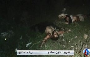 بالفيديو..مقتل عشرات المسلحين وضبط اسلحة بسوريا