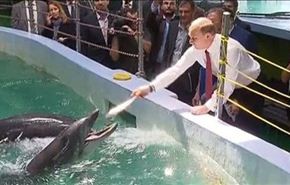 بوتين يطعم الدلافين في حوض الحيوانات البحرية+فيديو