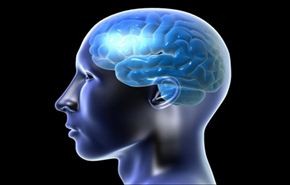 الكشف عن مناطق التفكير الابداعي بالدماغ البشري