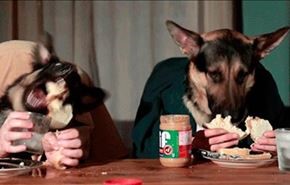 مجموعه ای دیدنی از تصاویر متحرک