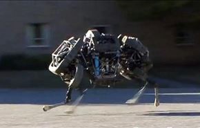 سریعترین روبات گربه وحشی در دنیا + فیلم