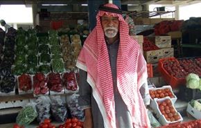 در عربستان؛ بگذارید گوجه فرنگی بگندد !