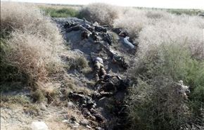 الجيش يقصف اجتماعا لقادة داعش والنصرة ويردي 36 منهم قتلى