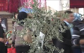 مهرجان الزيتون في الضفة الغربية