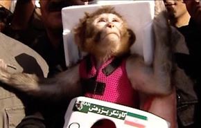 دومین میمون فضانورد ایران سالم بازگشت + فیلم