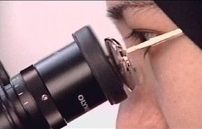 الثورة الاسلامية والتنمية المستمرة