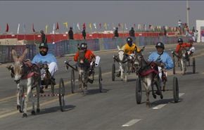 بالصور.. سباق الحمير في باكستان