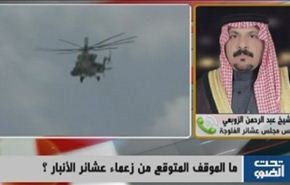 العراق: هدنة الفلوجة ومواجهة الارهاب