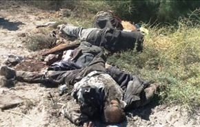 مقتل 52 عنصراً من داعش بينهم ابو بكر الانباري بالرمادي