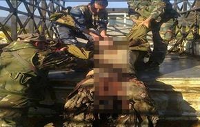 بالصور: قتلى الشيشانيين في معركة كسب