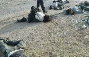 بالفيديو؛ اعدام 70 مسلحاً للحر على يد داعش في البوكمال