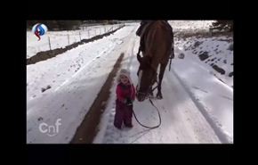 فيديو: صداقة رائعة بين حصان مطيع وطفل