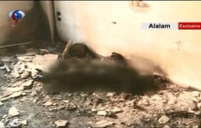 فيديو خاص؛ جثث مجموعة المسلحين الذين استهدفوا فريق المنار
