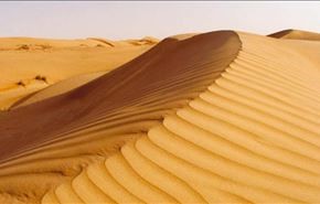 فیلم: تارزان صحرا !